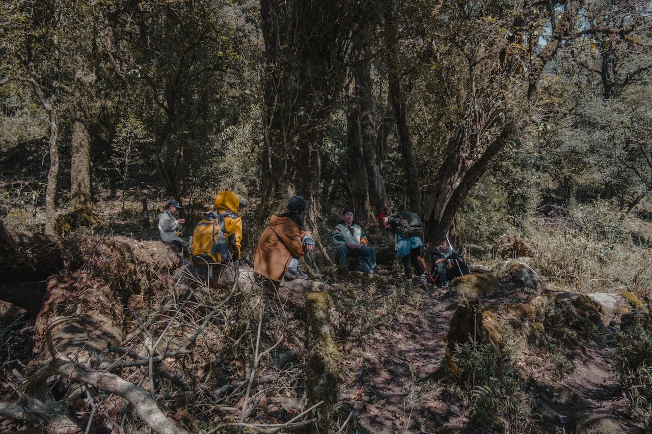 A group of hikers taking a break under trees in a dense forest environment.
